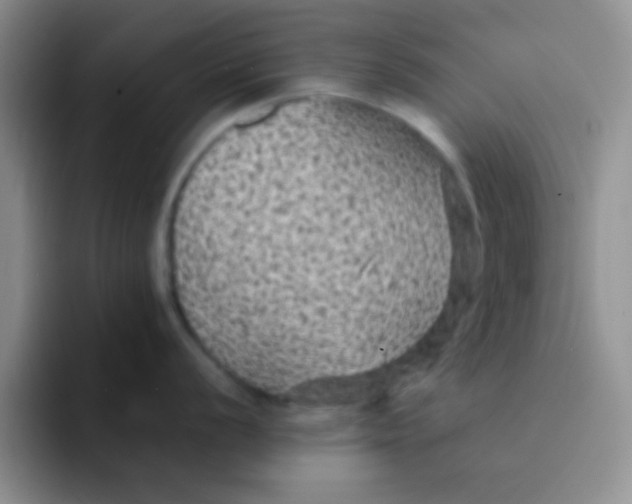 X0000091941056200709261929