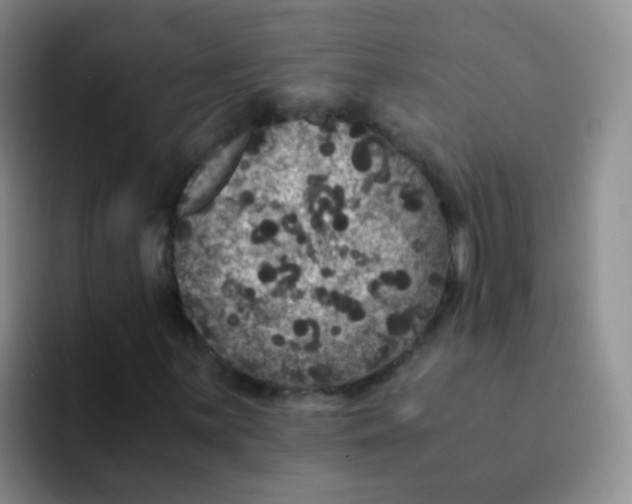 X0000091941059200709261928