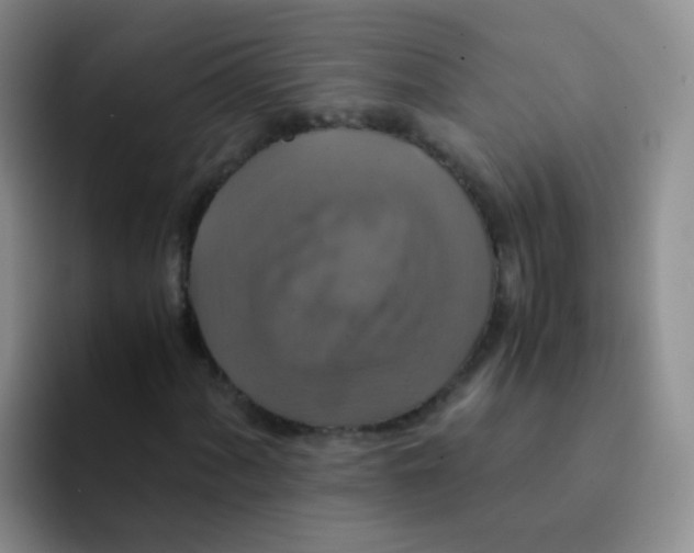 X0000091941060200709261928