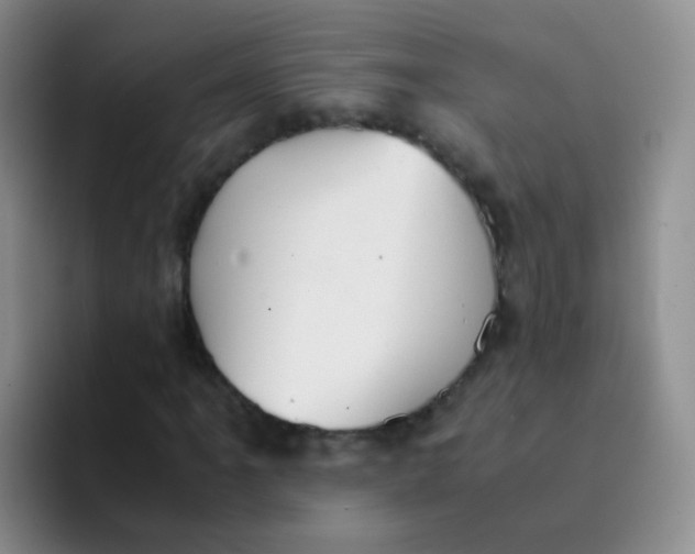 X0000091941061200709261928