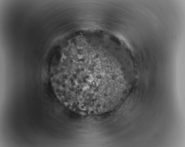 X0000091941063200709261928