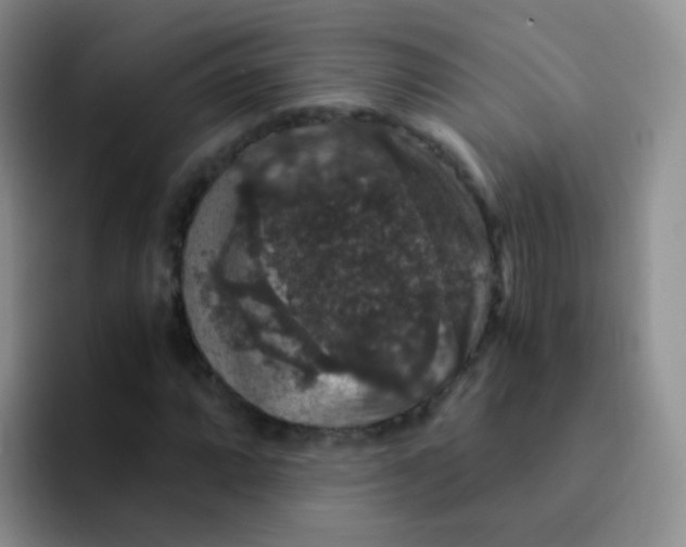 X0000091941064200709261928