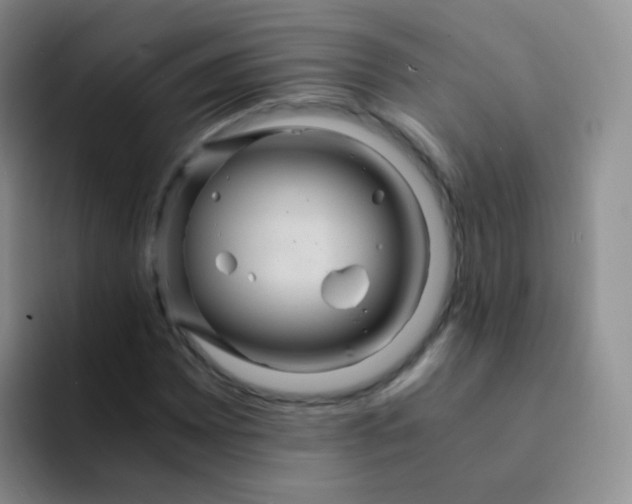 X0000091941065200709261928