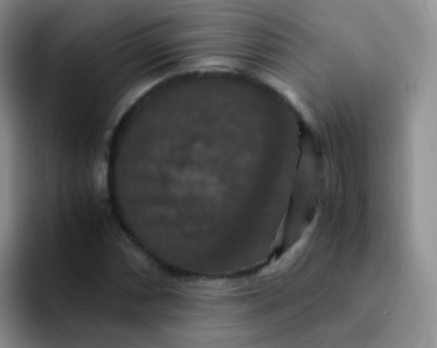 X0000091941066200709261928