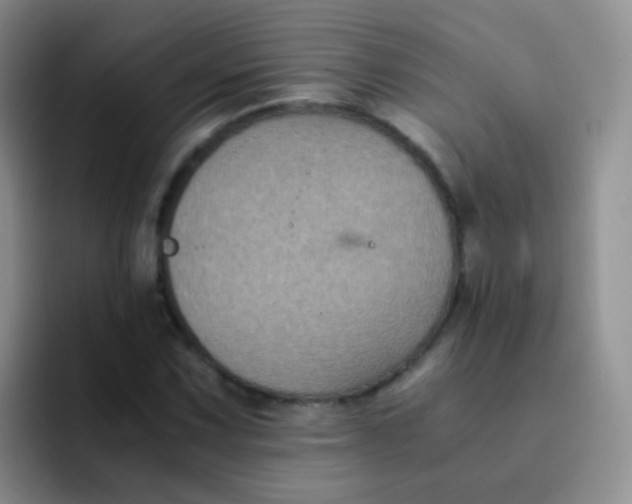 X0000091941067200709261928