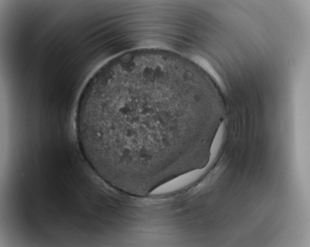 X0000091941068200709261928