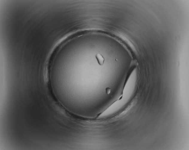 X0000091941069200709261928