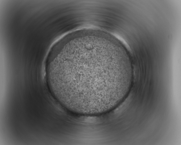 X0000091941070200709261928