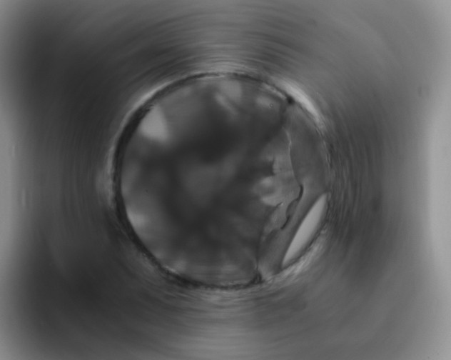 X0000091941071200709261928