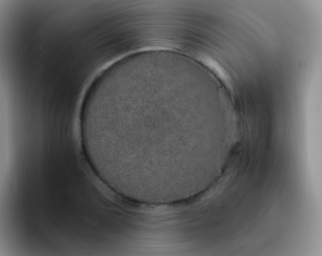 X0000091941072200709261928