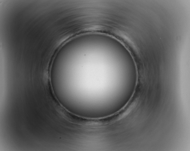 X0000091941073200709261928