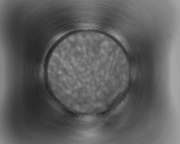 X0000091941074200709261928