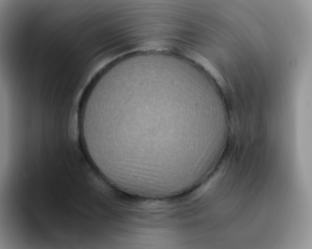 X0000091941075200709261928