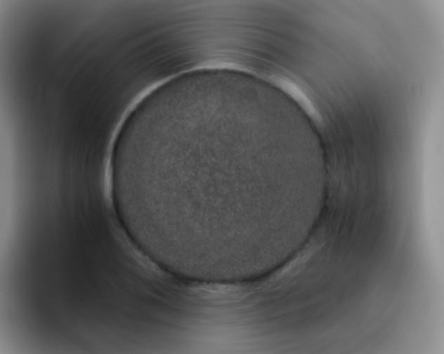 X0000091941076200709261928