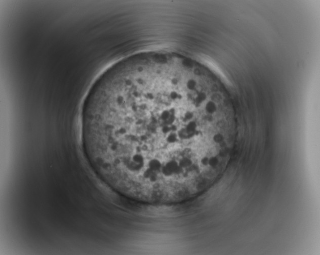 X0000091941079200709261928