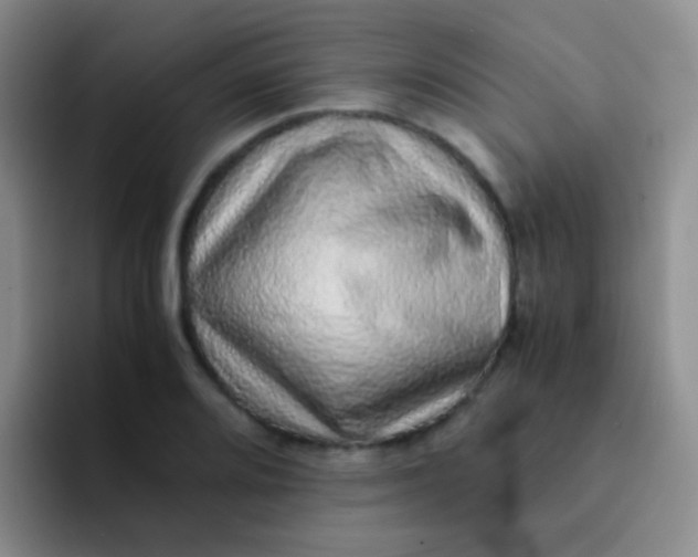 X0000091941080200709261928