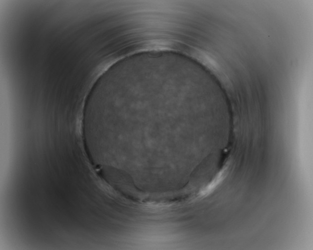 X0000091941081200709261928