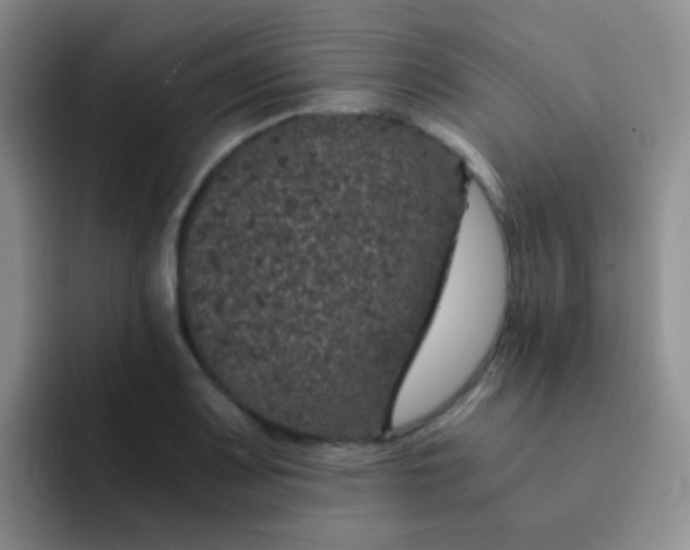 X0000091941083200709261928