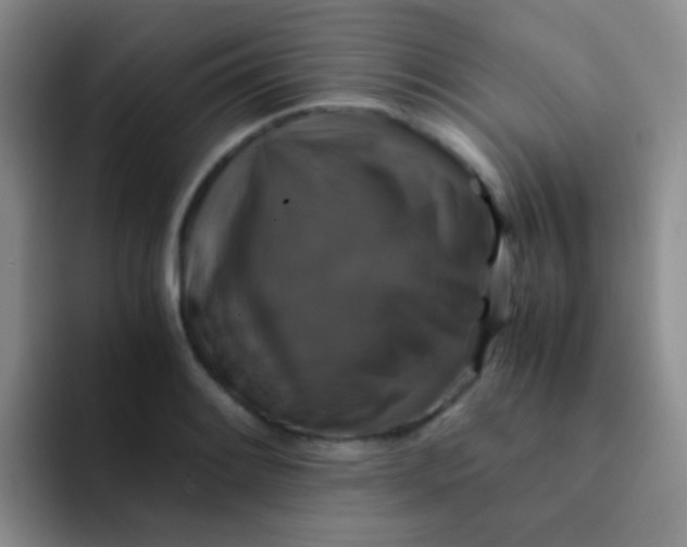 X0000091941084200709261928