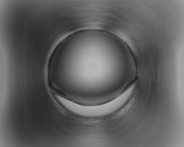 X0000091941085200709261928