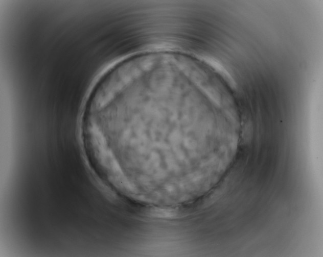 X0000091941086200709261928