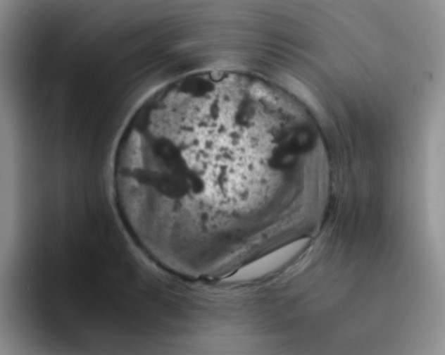 X0000091941087200709261928