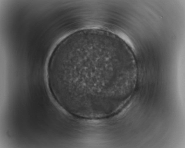 X0000091941088200709261928