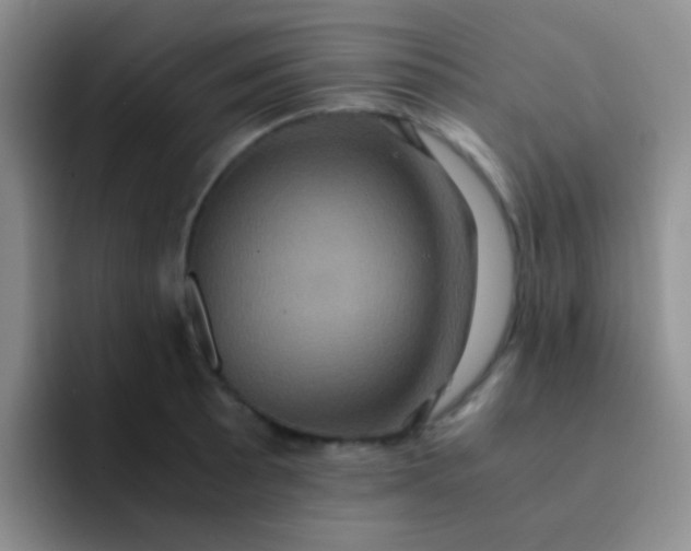 X0000091941089200709261928