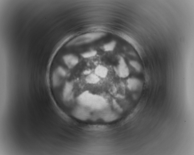 X0000091941090200709261928