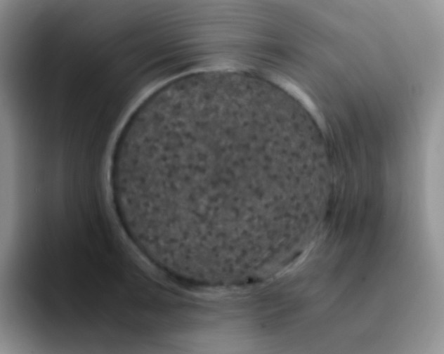 X0000091941091200709261928