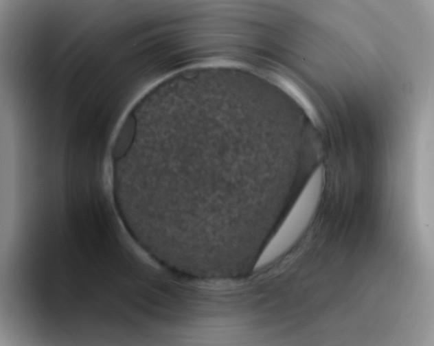 X0000091941092200709261928