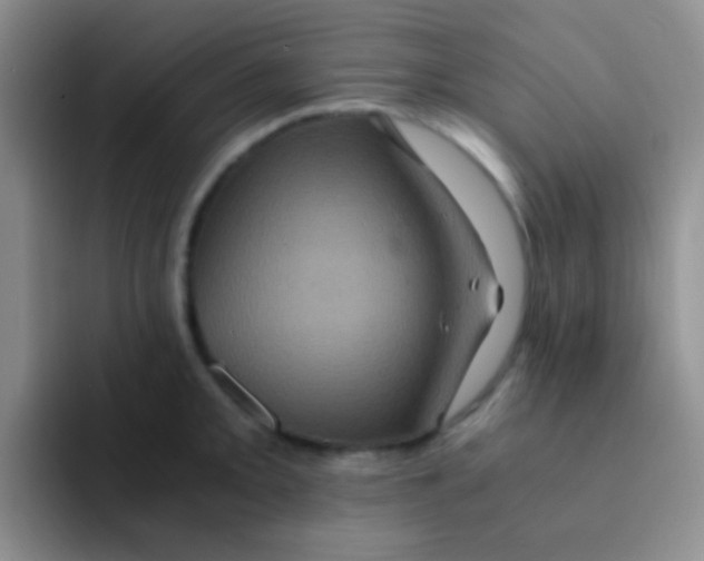 X0000091941093200709261928