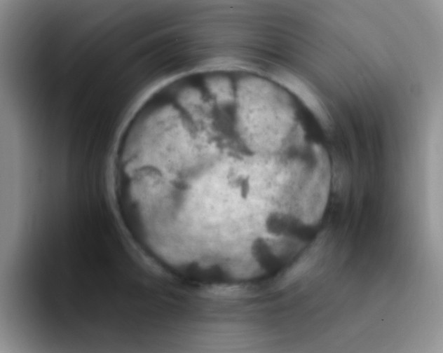 X0000091941094200709261928