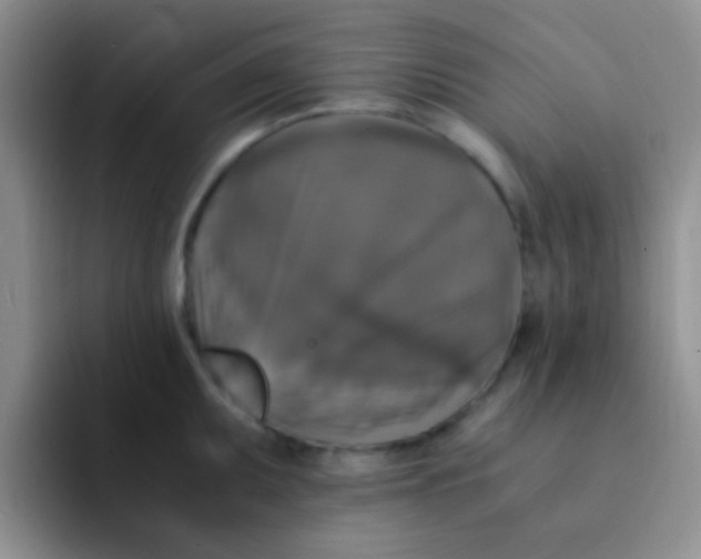 X0000091941095200709261928