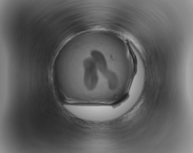 X0000091941097200709261928