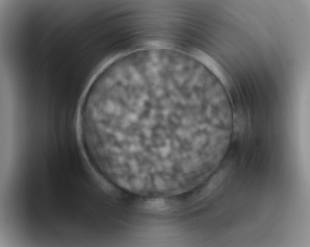 X0000091941098200709261928