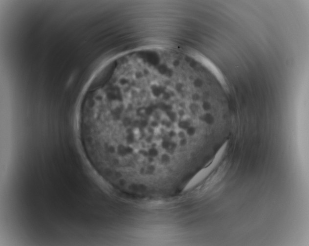 X0000091941099200709261928