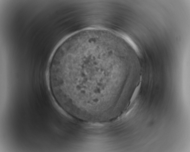 X0000091941100200709261928