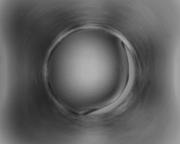 X0000091941101200709261928