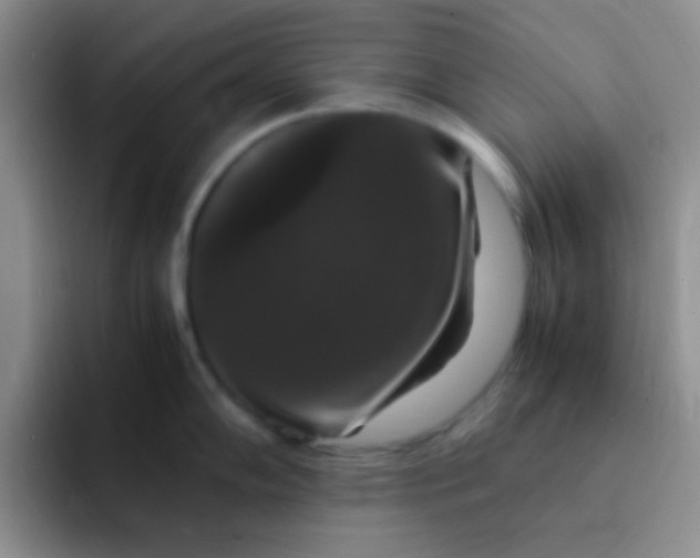 X0000091941102200709261928