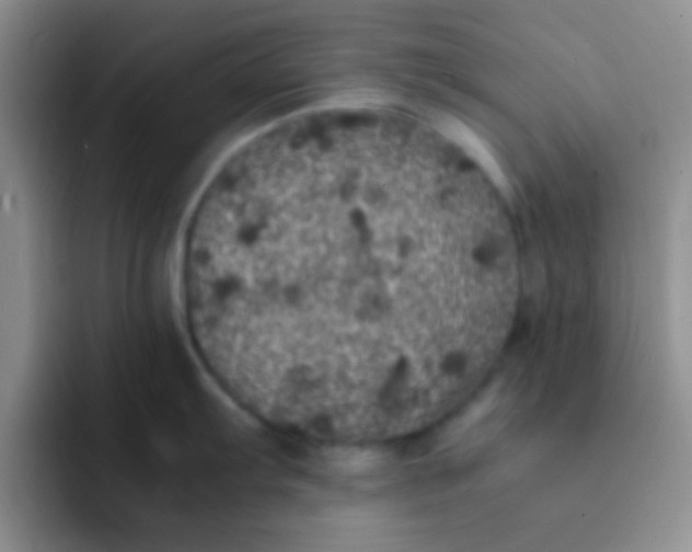 X0000091941103200709261928