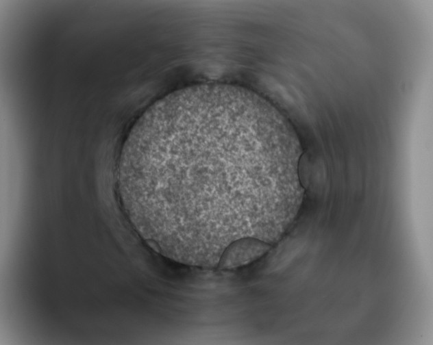 X0000091941105200709261927