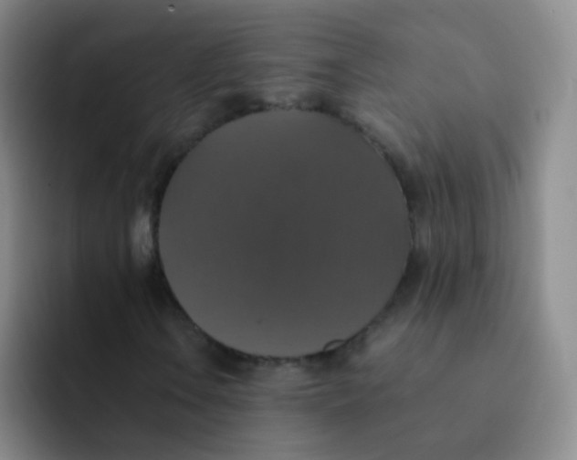 X0000091941106200709261927