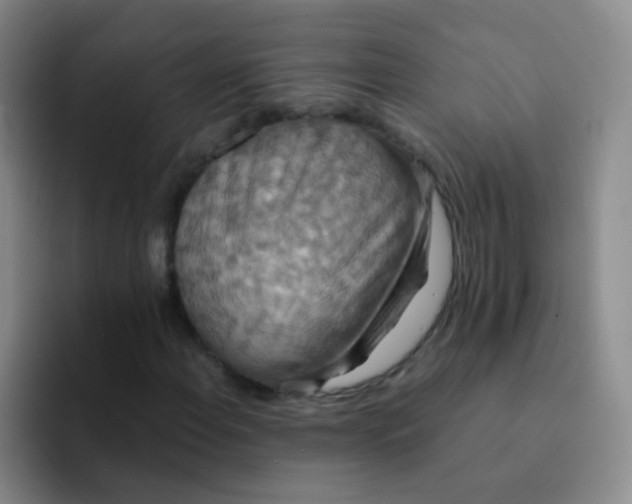 X0000091941108200709261927