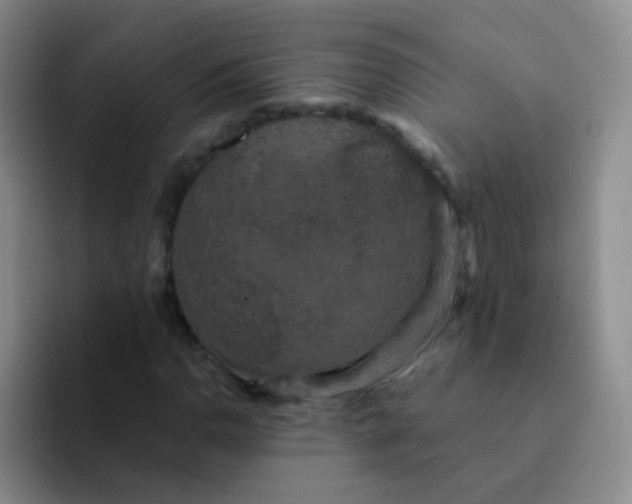 X0000091941110200709261927