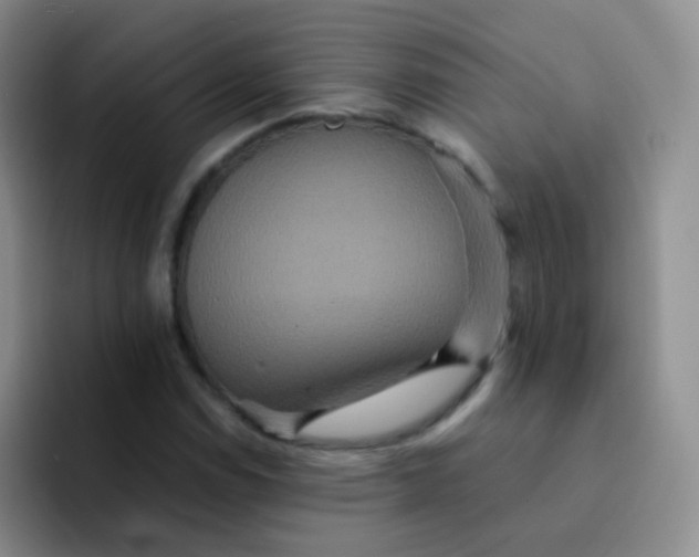 X0000091941114200709261927