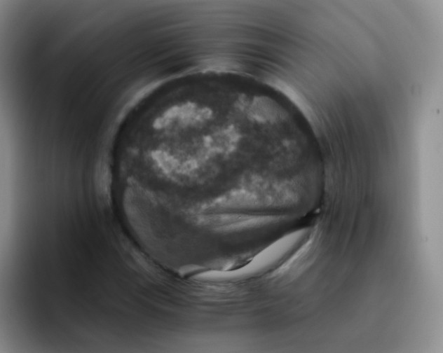 X0000091941115200709261927