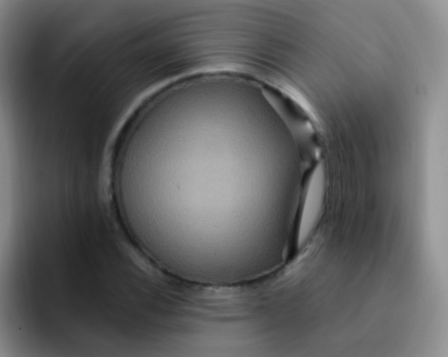 X0000091941116200709261927