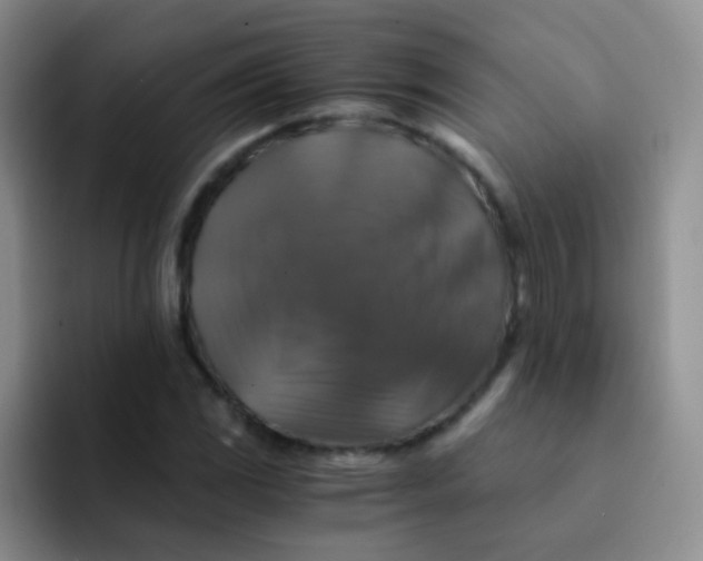 X0000091941117200709261927