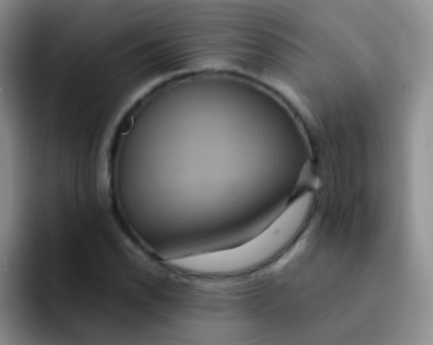 X0000091941118200709261927